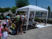 /album/galerie-de-photos-accueil/kermesse11-jpg1/